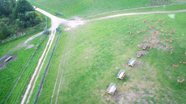 systemy ogrodzeniowe wykonawstwo fermy jeleniowatych kompleksowa obsługa grodzenie dużych obszarów Polska