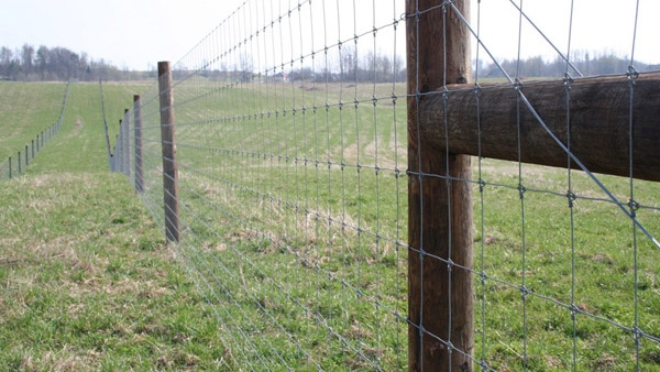 systemy ogrodzeniowe wykonawstwo fermy jeleniowatych kompleksowa obsługa grodzenie dużych obszarów Polska